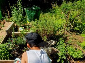 Projekt: Essbarer Garten - Impressionen aus unseren unterstützten Projekten